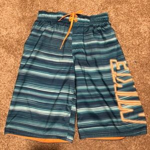 Nike Swim Shorts